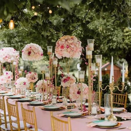 Kod Brke Veliko Gradiste